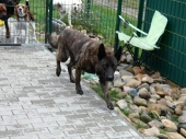 Pension_19