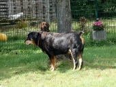 Pension_20