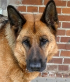 Pension_21