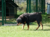 Pension_21