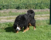 Pension_21