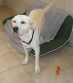 Pension_2