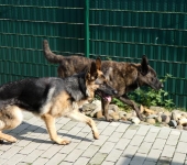 Pension_2