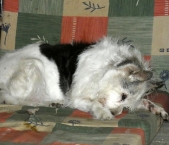 Pension_10