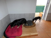 Pension_13