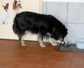Pension_2
