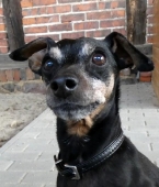 Pension_2
