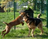 Pension_2