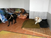 Pension_39