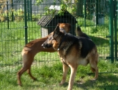 Pension_3