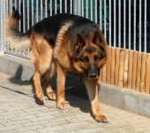 Pension_69