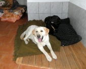 Pension_7
