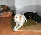 Pension_8