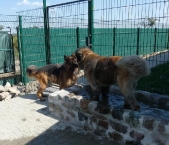 Pension_15