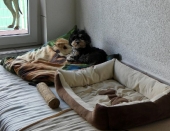 Pension_16