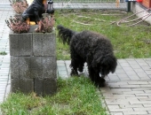 Pension_12