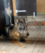 Pension_1