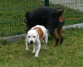 Pension_20