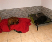 Pension_21