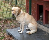 Pension_21