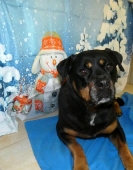 Pension_24