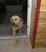 Pension_26