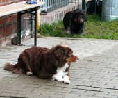 Pension_29