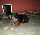 Pension_31