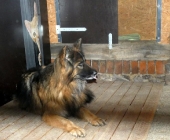 Pension_35