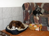 Pension_35