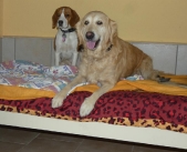 Pension_36
