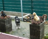 Pension_37