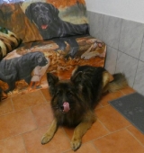 Pension_76