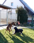 Pension_1