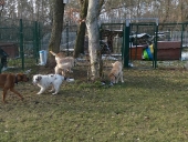 Pension_22