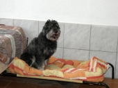 Pension_23