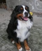 Pension_25