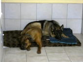Pension_32