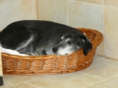 Pension_10