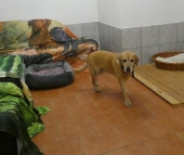 Pension_10