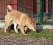 Pension_10