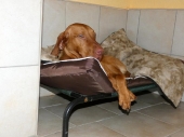 Pension_20