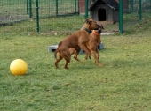 Pension_21