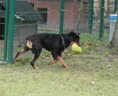 Pension_24