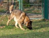 Pension_26