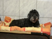 Pension_27