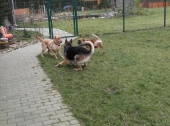 Pension_28