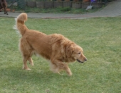 Pension_2