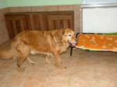 Pension_33