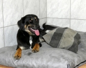 Pension_36